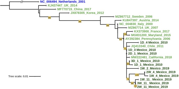FIGURE 2
