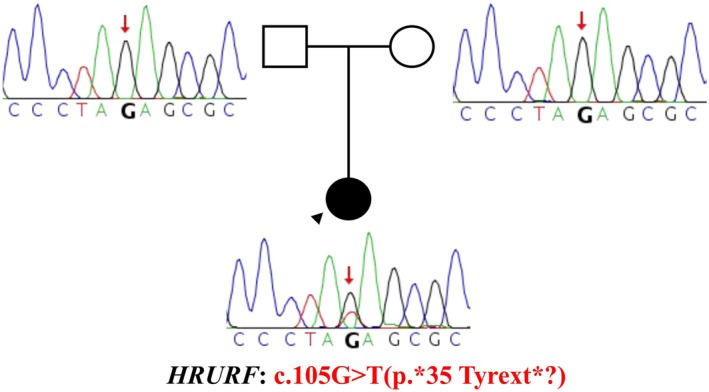 FIGURE 1