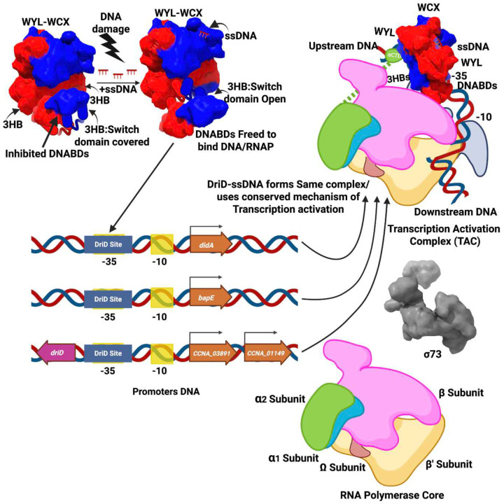 Figure 6