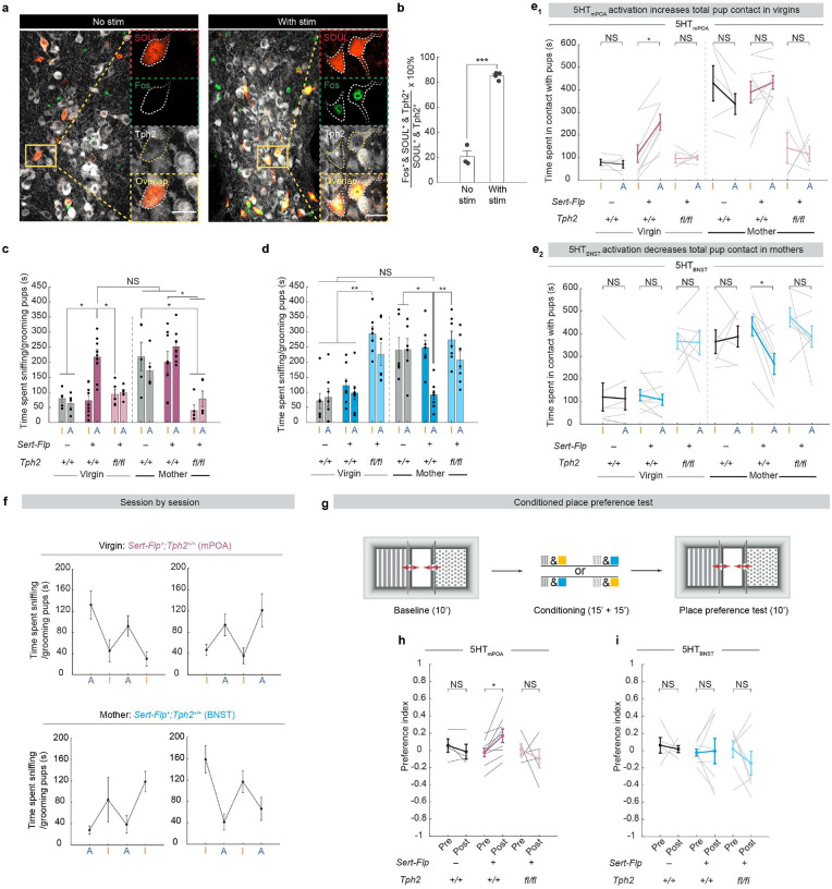 Extended Data Fig. 5 |