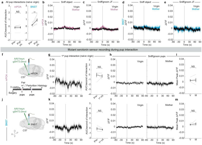 Extended Data Fig. 6 |