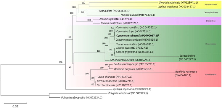 Figure 3