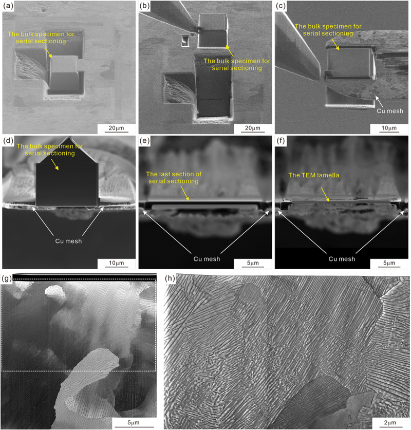 Figure 22