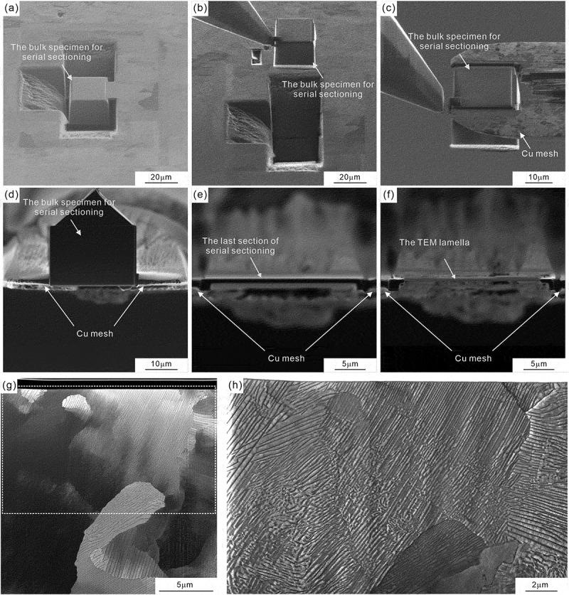 Figure 23