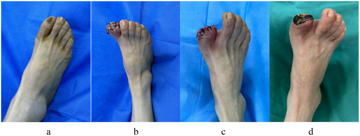 Figure 9