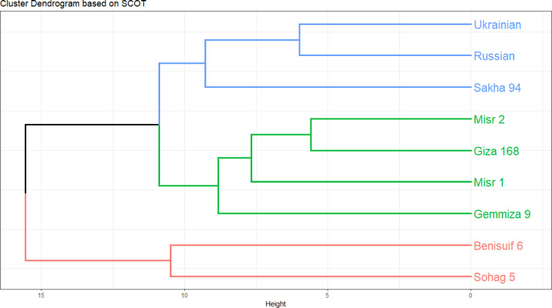 Figure 10