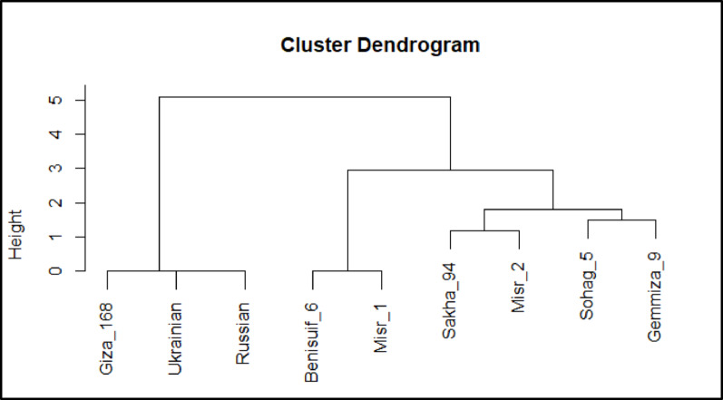 Figure 12