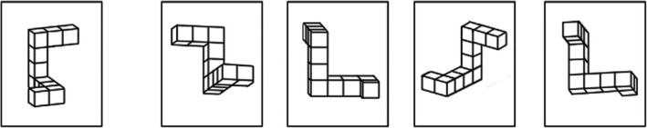 FIGURE 2
