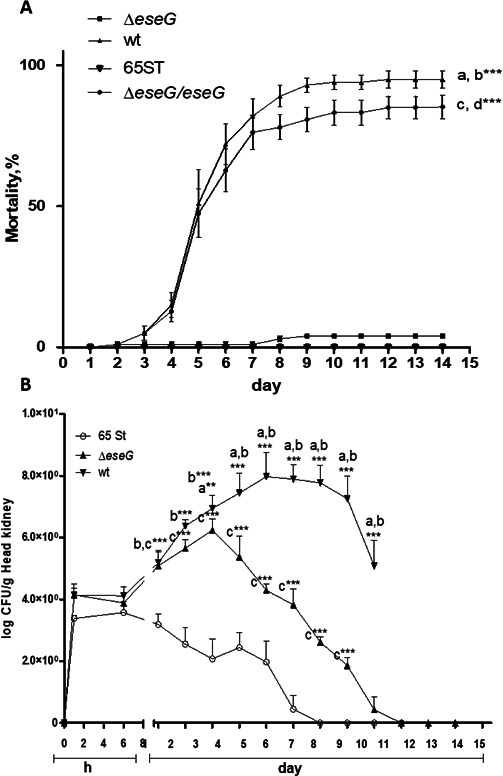 Fig 12