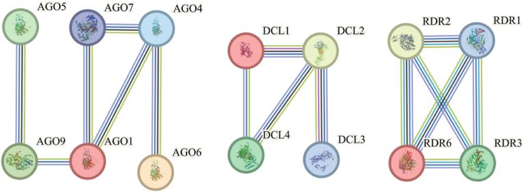 Figure 7