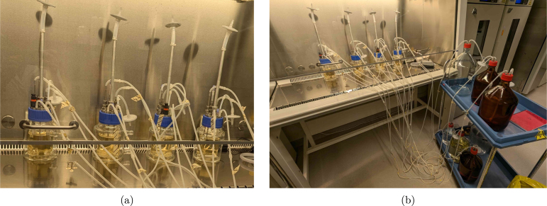 Figure 29