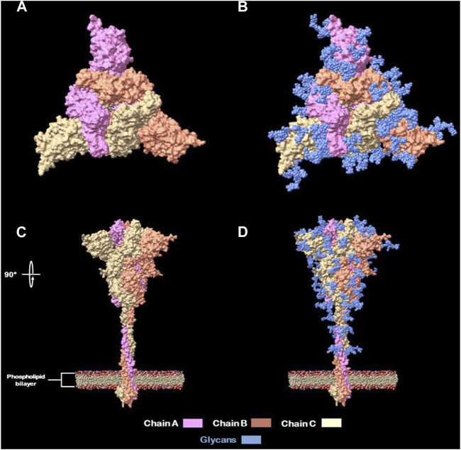 FIGURE 2