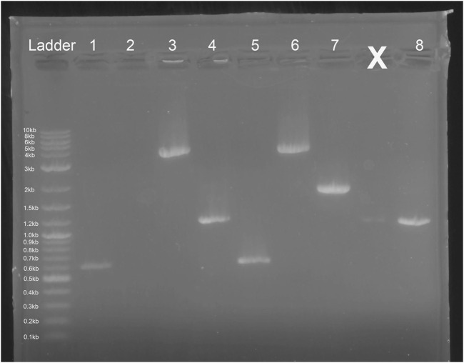 FIGURE 9