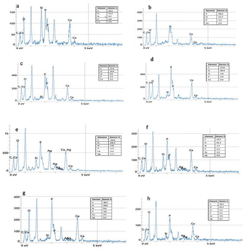 Fig 6