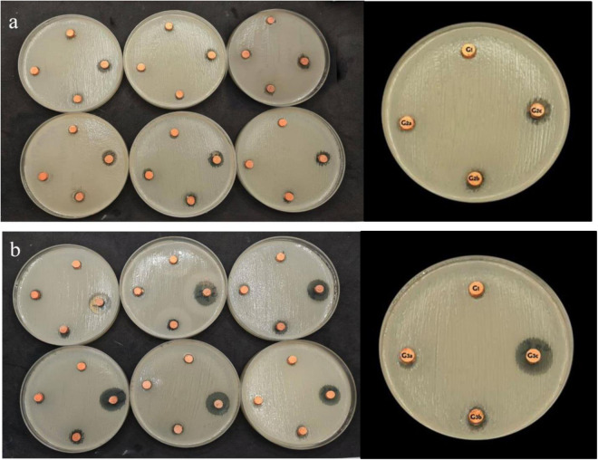 Fig 11