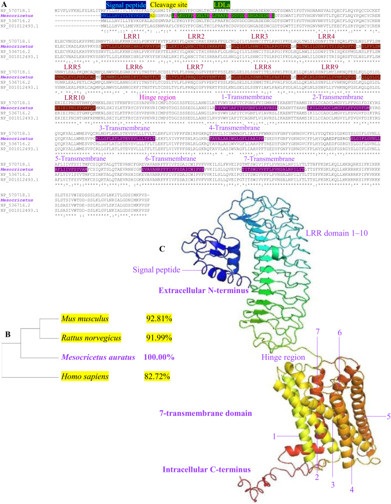 Fig 4