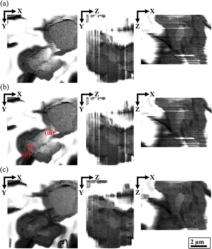 Fig. 10