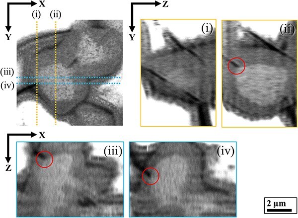 Fig. 8