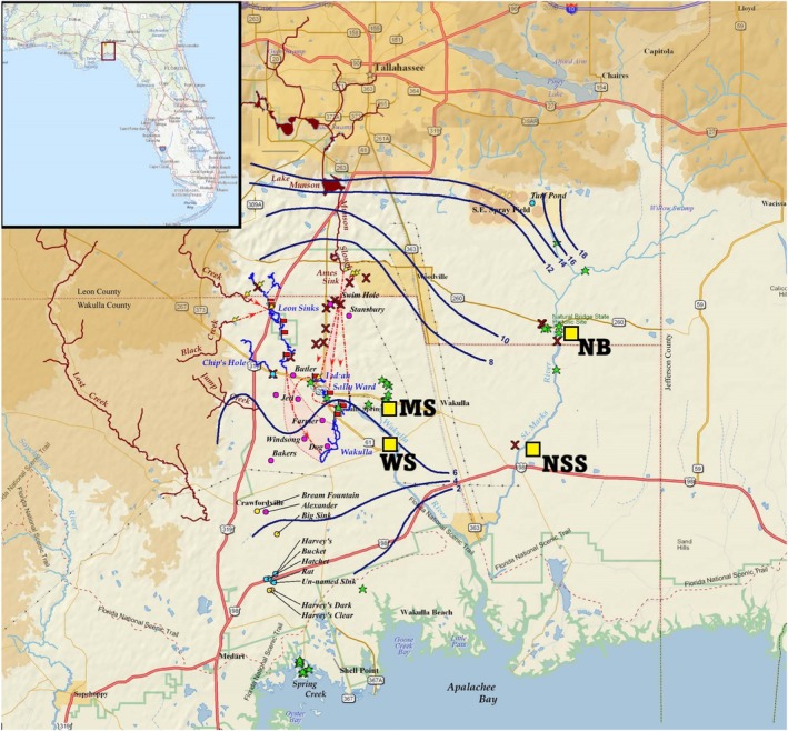 FIGURE 2