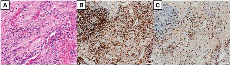 Fig. 6