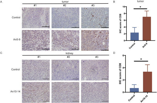 Figure 6