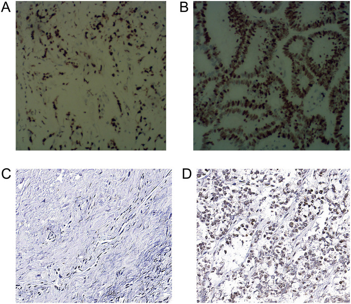 Figure 3