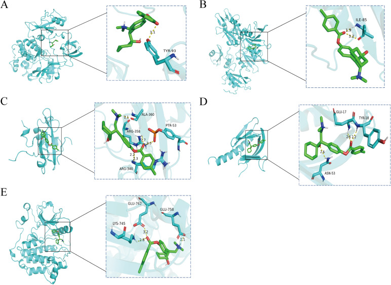 Figure 5