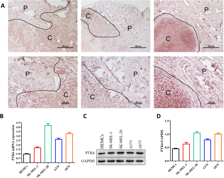 Figure 10