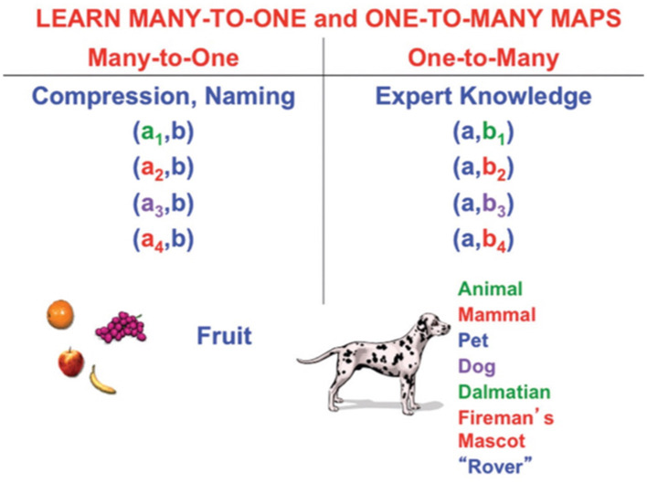Figure 14