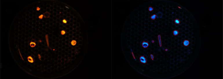 Figure 15