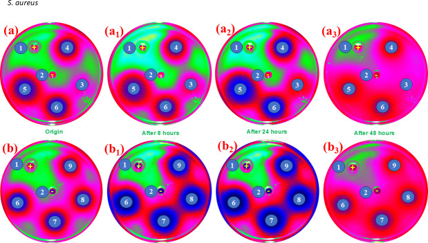 Figure 6