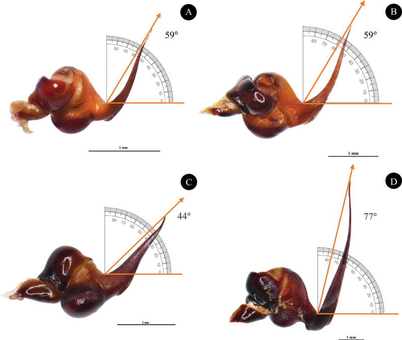 Figure 8