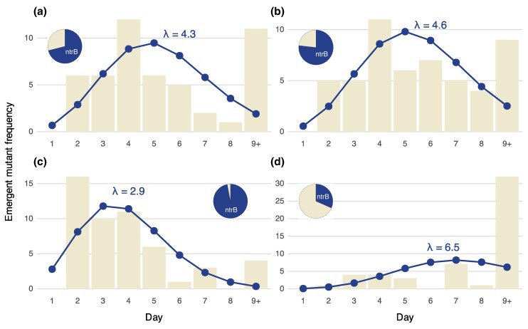 Figure 5