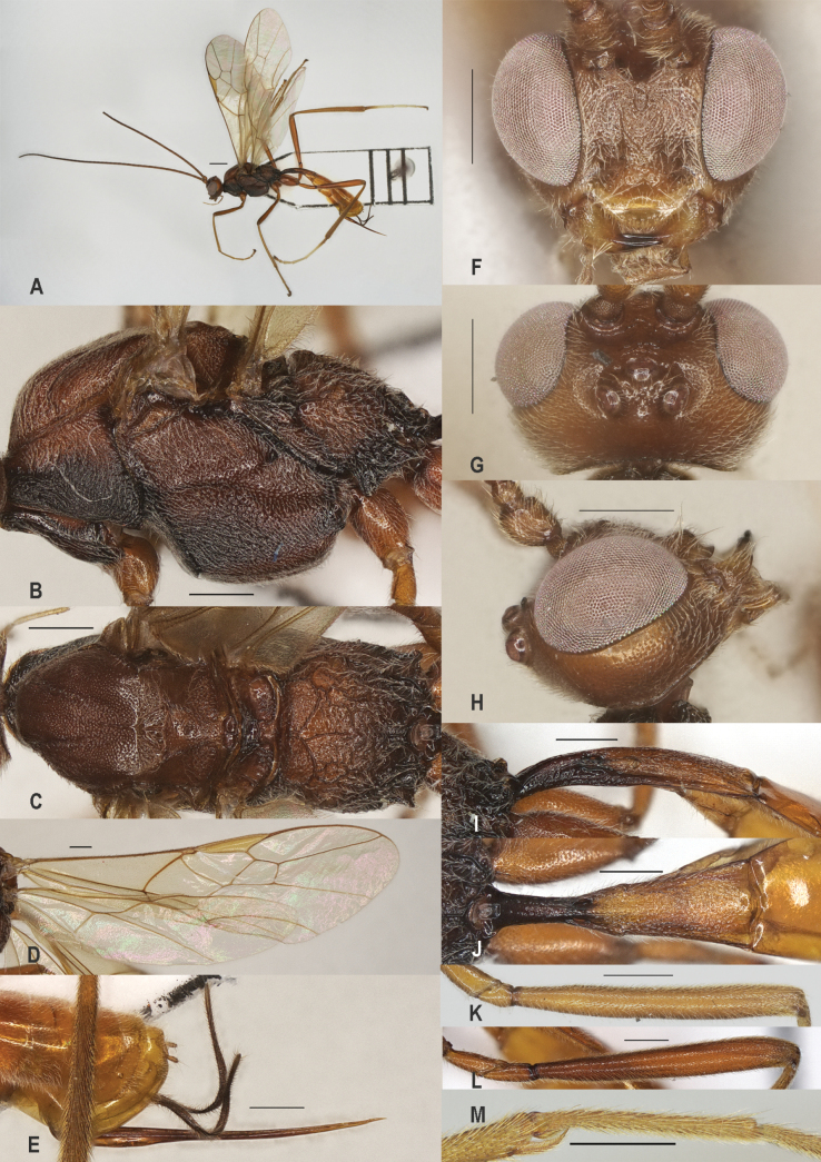 Figure 13