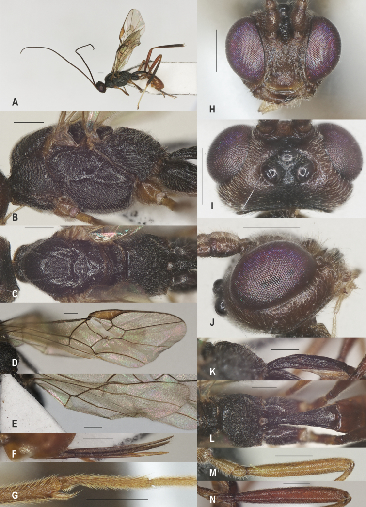 Figure 14