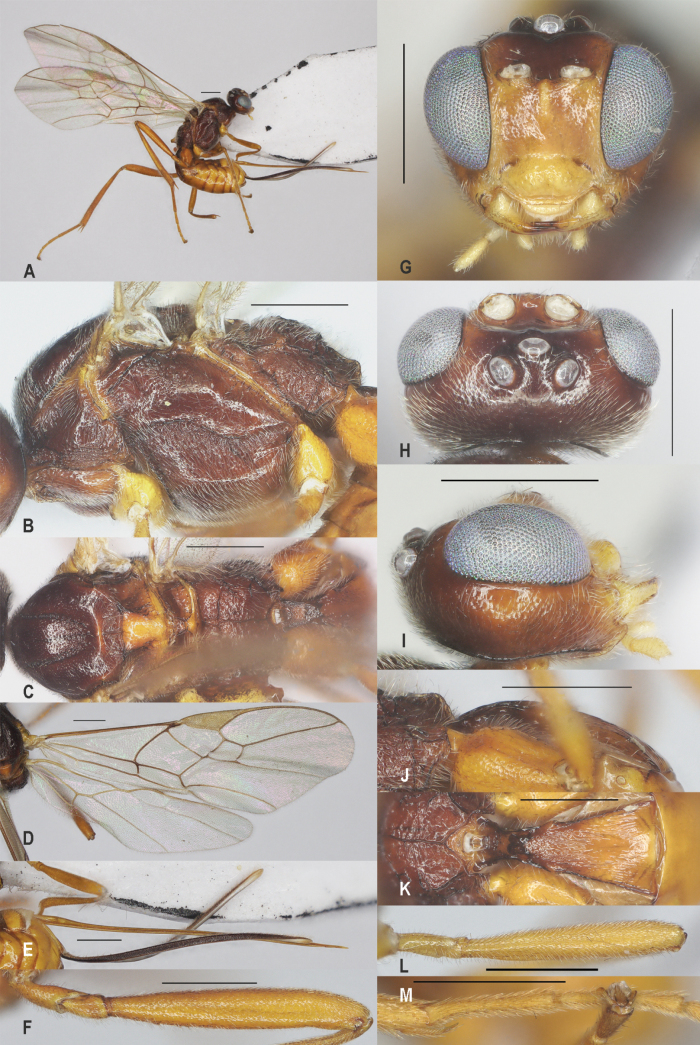 Figure 15
