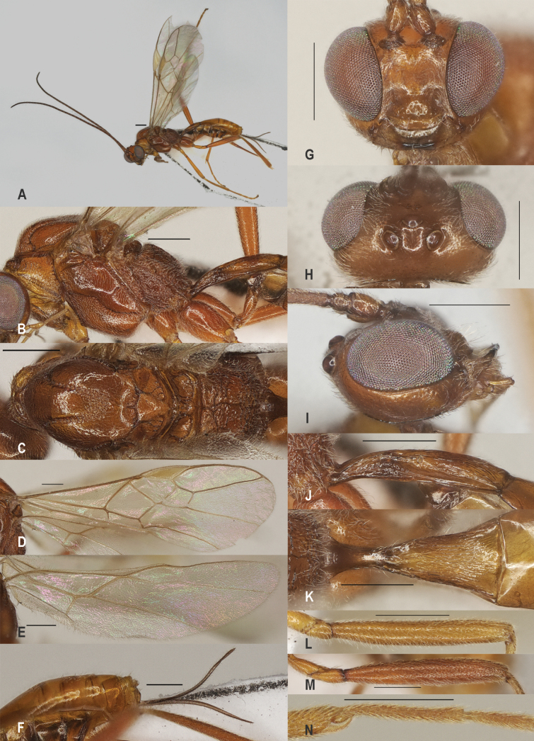Figure 18