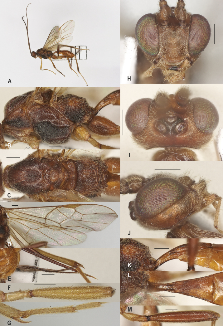 Figure 19