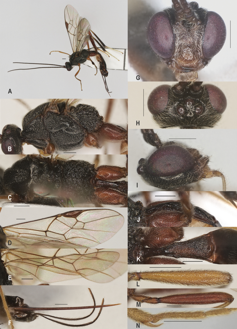 Figure 20