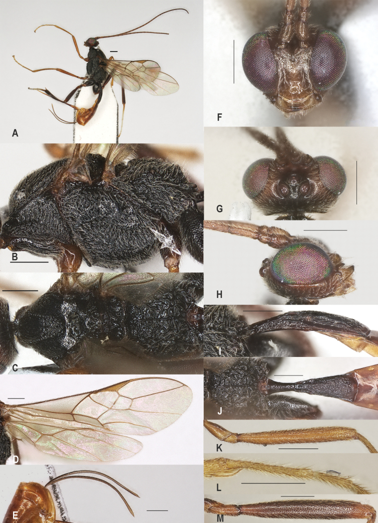 Figure 21