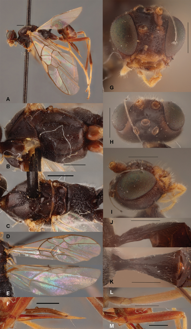 Figure 22