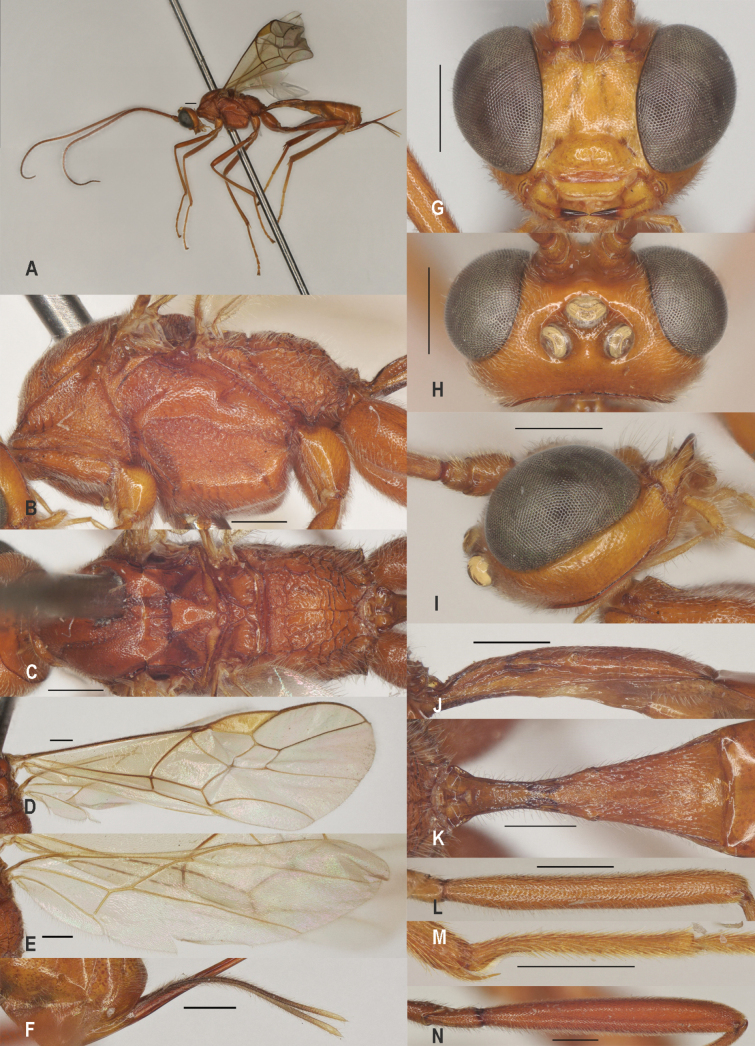 Figure 23