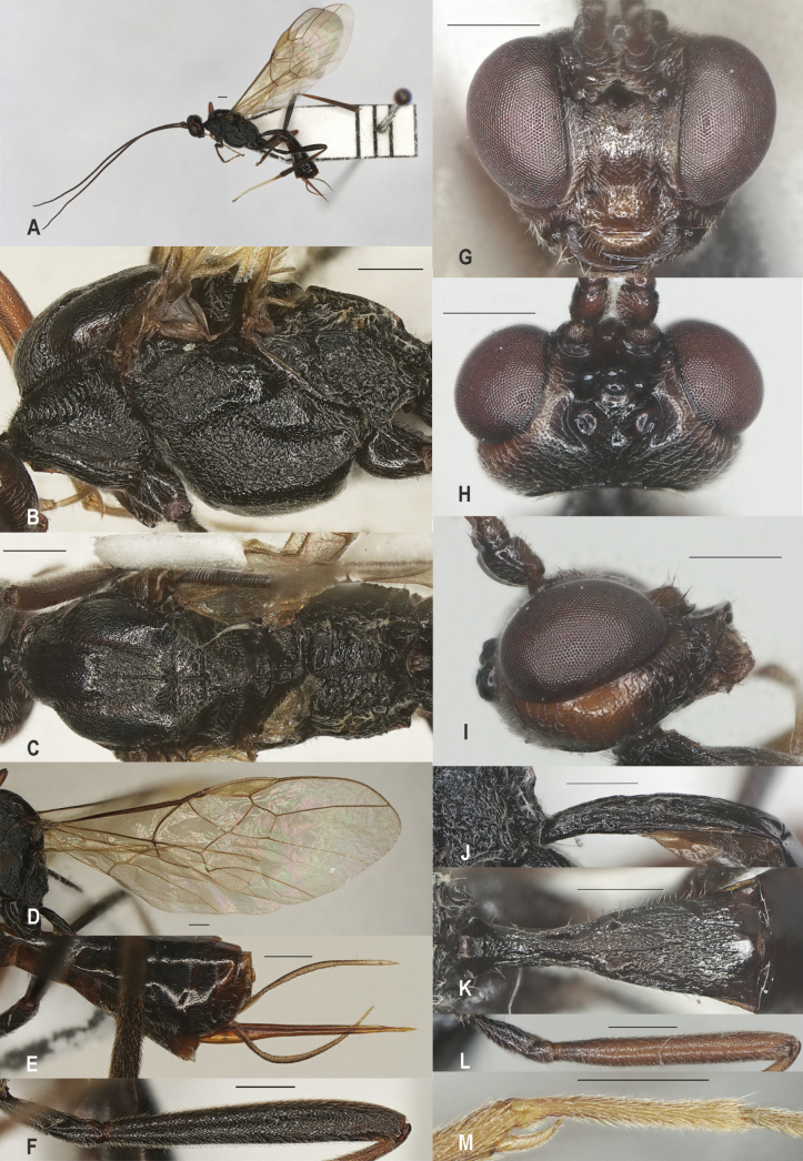 Figure 24