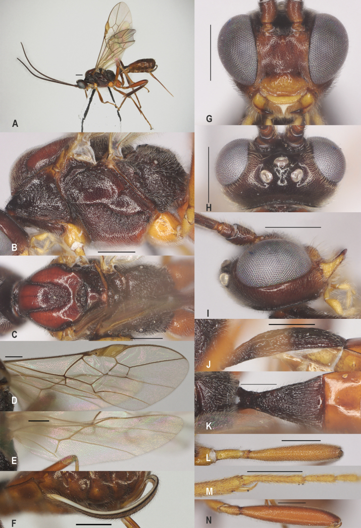 Figure 25