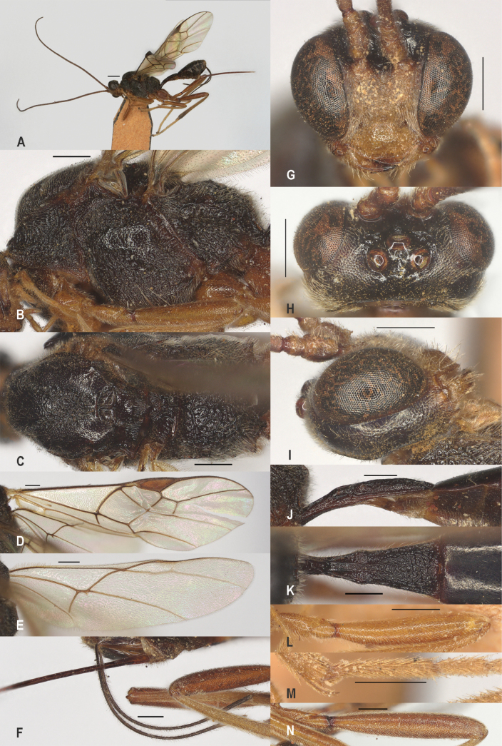 Figure 26