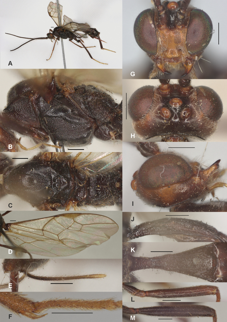 Figure 27