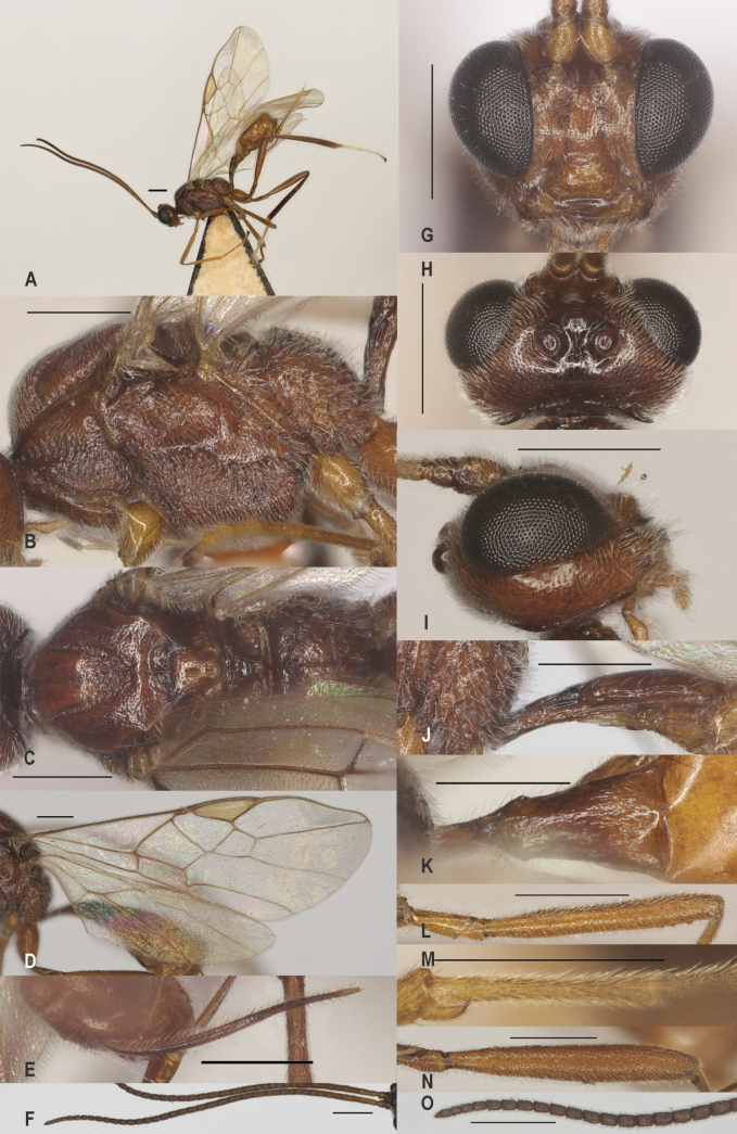 Figure 28