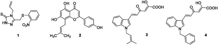 Figure 1