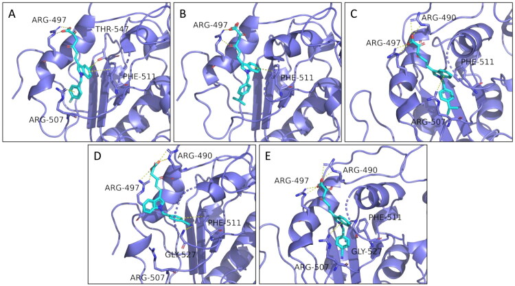 Figure 6
