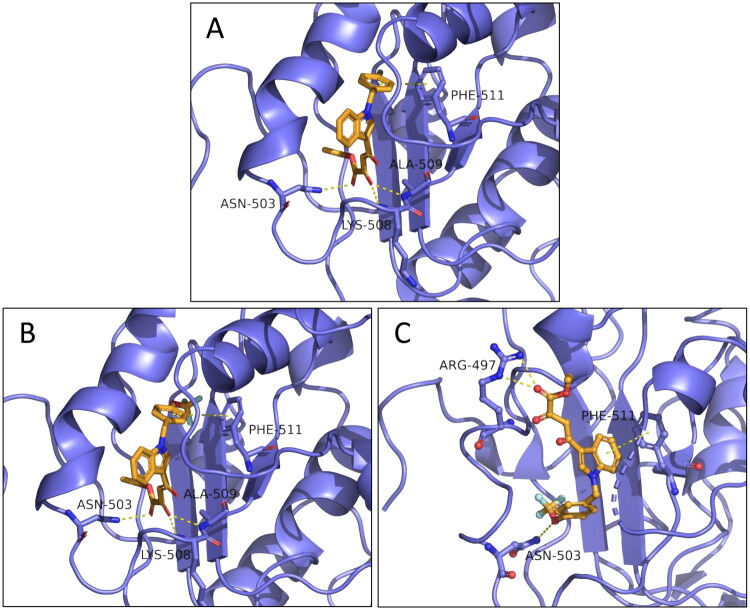 Figure 7
